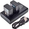DSTE DE DSTE 2x NP-FW50 Ricambio Batteria + Caricatore doppio USB con display LCD Compatibile per Sony ZV-E10,Alpha 7,a7,Alpha 7R,a7R,Alpha 7R II,Alpha a3000,a6000,NEX-7,DSC-RX10,RX10 IV Digital Fotocamera