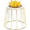 Sleepdown Halo ocra pianta grassa artificiale finta pianta dorata gabbia supporto per casa ufficio bagno decorazione estetica interna, piccola