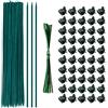 TSKDKIT Stecche per piante e Clip da Giardino 30cm Bastoncini di Supporto per Piante Bastoncini di Bambù con Fascette Intrecciate Stecche per Piante Rampicanti