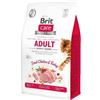Brit Care Cat Grain-Free Aldut Activity Support Pollo e tacchino 7kg
