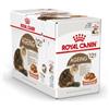 Royal Canin Pouch Ageing +12 cibo umido per gatto x12 1 scatola (12 x 85 g)