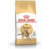 Royal Canin Breed Royal Canin Bengala Adulto per gatto 2 kg
