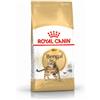 Royal Canin Breed Royal Canin Bengala Adulto per gatto 2 x 2 kg