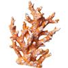 Sitrda Ornamento per acquario, simulazione grande pianta marina di corallo, decorazione subacquea non tossico (giallo)