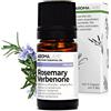 Aroma Labs - Rosmarino Verbenone BIO - Olio Essenziale Chemiotipizato e Certificato AB - 5 mL
