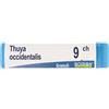 BOIRON Thuya Occidentalis 9Ch Globuli Monodose Boiron