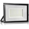 Probapro 100W Faretto LED da Esterno 6000K Bianco Freddo 1 Pezzi | 10000LM Faro LED Esterno con Alta Luminosità e Durata, IP65 Impermeabile Proiettore per Giardino, Cortile, Garage