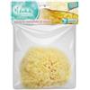 LIBELLULE SPUGNA NATURALE MARE 10