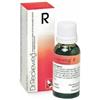 DR.RECKEWEG Dr. Reckeweg R28 Gocce Orali Omeopatiche 22 ml