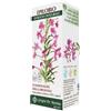 Epilobio DR. Giorgini Epilobio Estratto Integrale 200 Ml ml Soluzione orale