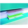 EXACOMPTA 100 SEPARATORI ORIZZONTALI 105x240mm ASSORT in CARTONCINO RICICL. 180gr FOREVER