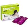 ALFAMED S.A. Duecto Spot-on 4 Pipette - Medium 10-20 Kg