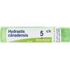 BOIRON Srl Hydrastis Canadensis 5CH Boiron Granuli 4g