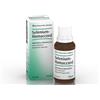 BIOLOGISCHE HEILM. HEEL GMBH Selenium Homaccord Heel Gocce 30ml