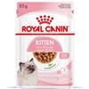 Royal Canin Kitten umido in Salsa per gatti - Set %: 24 x 85 g