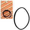 Barazzoni Ricambi Blister Guarnizione 5-7-9 Litri, Gomma, 22 cm