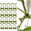 Zocipro 100Pcs Clip per Piante Autoadesivi, Mollette di Supporto Autoadesivi per Piante, Clip di Supporto Durevole per Piante, Clip di Fissaggio per Pareti da Arrampicata, per Piante da Giardino