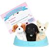 Pucci Pups - Adotta Un Cucciolo - Cane di Peluche - Cucciolo Playset - Animali di Peluche - Cane Giocattolo con Cestino - 2 Anni +