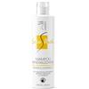 SETA PACK - Shampoo Capelli Secchi - Mineral Shampoo Capelli ai Sali Minerali - Shampoo Professionale Ristrutturante e Idratante per Capelli Secchi e Trattati (1000 ml)