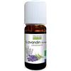 PROPOS'NATURE Olio essenziale di Lavandin Grosso Bio - Lavandula Hybrida oil - 100% puro e naturale - 10 ml - PROPOSE NATURE