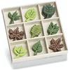 BRUNNEN Knorr Prandell 22 mm Foglie Scatola di Legno con Feltro Ornamenti, Multicolore