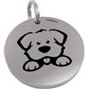 MAMIPets MEDAGLIETTA INOX per Cane- Incisione Laser Nera Personalizzata Fronte Retro Inclusa (1 - FritzDog, Small)