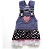 SMALLLEE_LUCKY_STORE vestito jeans per cani femmina cuore grande gatto vestitini chihuahua maglia animali domestici abbigliamento costumi
