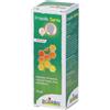 Propolis Laboratoires Boiron BOIRON® Propolis Spray 15 ml orale