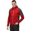 REGATTA M ATTARE SOFTSHELL Giacca Outdoor Uomo