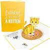 PopLife Gattino Divertente Pop Up Carta - Carta Amante dei Gatti per Tutte le Occasioni - Festa della Mamma, Festa del Papà, Regalo Veterinario - Buon Compleanno, Solo Perché, Guarisci