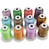 New brothread 12 MultColori Poliestere Filo di Ricamo Macchina 500M(550Y) / Bobina per Brother/Babylock/Janome/Singer/Pfaff Ricami e Cuciture Macchina Colori Assortiti-Assortimento1