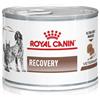 ROYAL CANIN ITALIA SpA VETERINARY DIET WET D&C RECOVERY 195 G