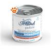 Siland Dog Nucrointestinal Patè con Salmone e Riso - Lattina Da 300 Gr