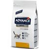 Advance Veterinary Diets Affinity Renal per Gatti da 1,5 kg