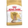 Royal Canin Breed Royal Canin Yorkshire Terrier Adult 8+ Crocchette per cane - 1,5 kg