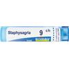 BOIRON® Staphysagria 9 Ch Contenitore Multidose 4 g Granuli