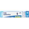 Calcarea Laboratoires Boiron BOIRON® Calcarea Carbonica Ostrearum 9 Ch Granuli 4 g