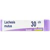 Lachesis BOIRON® Lachesis Mutus 30 Ch Globuli 1 g