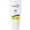 TELEFLEX MEDICAL Srl PASTA STOMIA NO ALCOOL 100G
