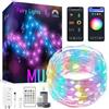 Tuya Luci Fatate Catena Luminosa LED Smart WiFi e Bluetooth