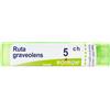 Ruta Grav BOI BOIRON® Ruta Graveolens 5 Ch Contenitore Multidose 4 g Granuli