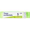 Boiron Thuya Occidentalis 5Ch 4 g Granuli