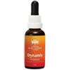 NATUR SRL Dynamis 30 Ml 1 Pezzo