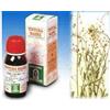 SPECCHIASOL SRL BORSA PASTORE 4 50ML TM SPECCH
