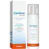 UNIDERM FARMACEUTICI Srl CANDINET ACT 2% 150ML