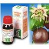 SPECCHIASOL SRL PASSIFLORA INCARNATA 34 50MLTM