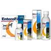 NEXTMUNE ITALY Srl ENTEROFILUS Mang.Semplice100ml