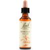 SCHWABE PHARMA ITALIA Srl BACH 20 Mimulus Gtt 20ml LKR