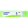 BOIRON SRL BO.LACHESIS MUT.Tubo 5CH