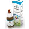 GUNA SpA BACHFLOWERS 4 Centaury 10ml